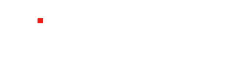 INTERNATIONAL PARTNERSHIPS